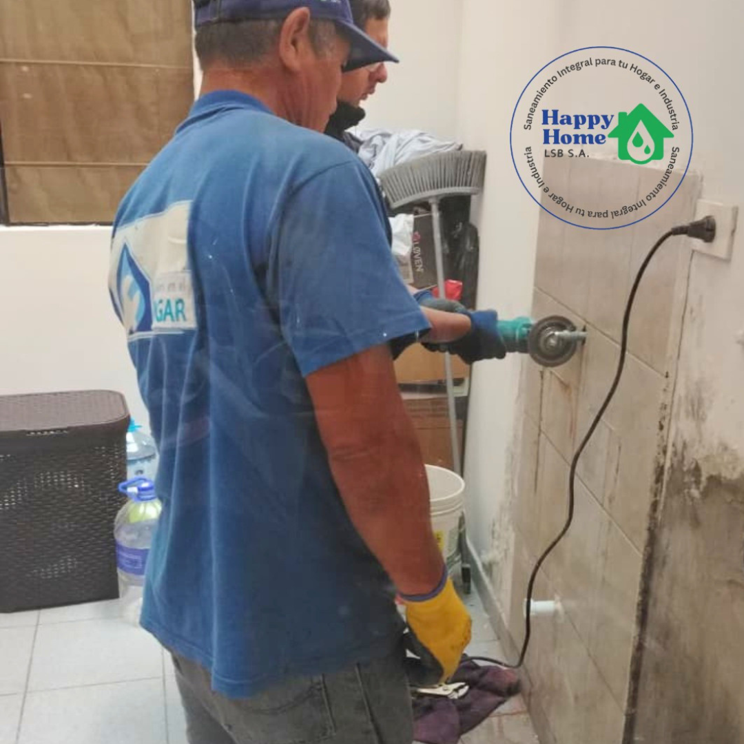 Servicio profesional